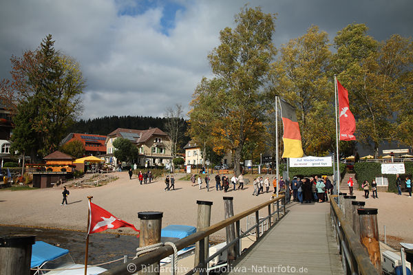 Titisee Landbrcke Besucher Strand Uferbume Herbst Landschaft