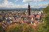Freiburg Altstadtpanorama Mnster Hausdcher