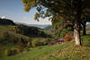 Berglandschaft Hochschwarzwald Herbst Tal-Panorama Bauernhof Naturidylle