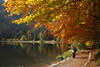 Feldsee Herbstfoto Wasserufer Naturbild Wanderer unter Bumen in Schwarzwald Golden Herbst