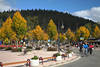 Titisee Bume Herbstfarben Landschaft Strae Radfahrer in Luftkurort Bild