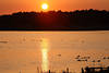 Raketau Ruppersdorfer-See Sonnenuntergang Lichtstimmung Naturfoto mit Wasservgeln